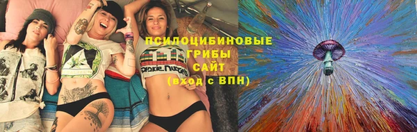 2c-b Беломорск