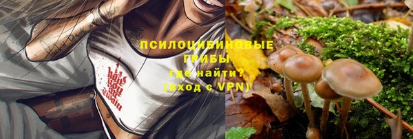 бошки Белоозёрский